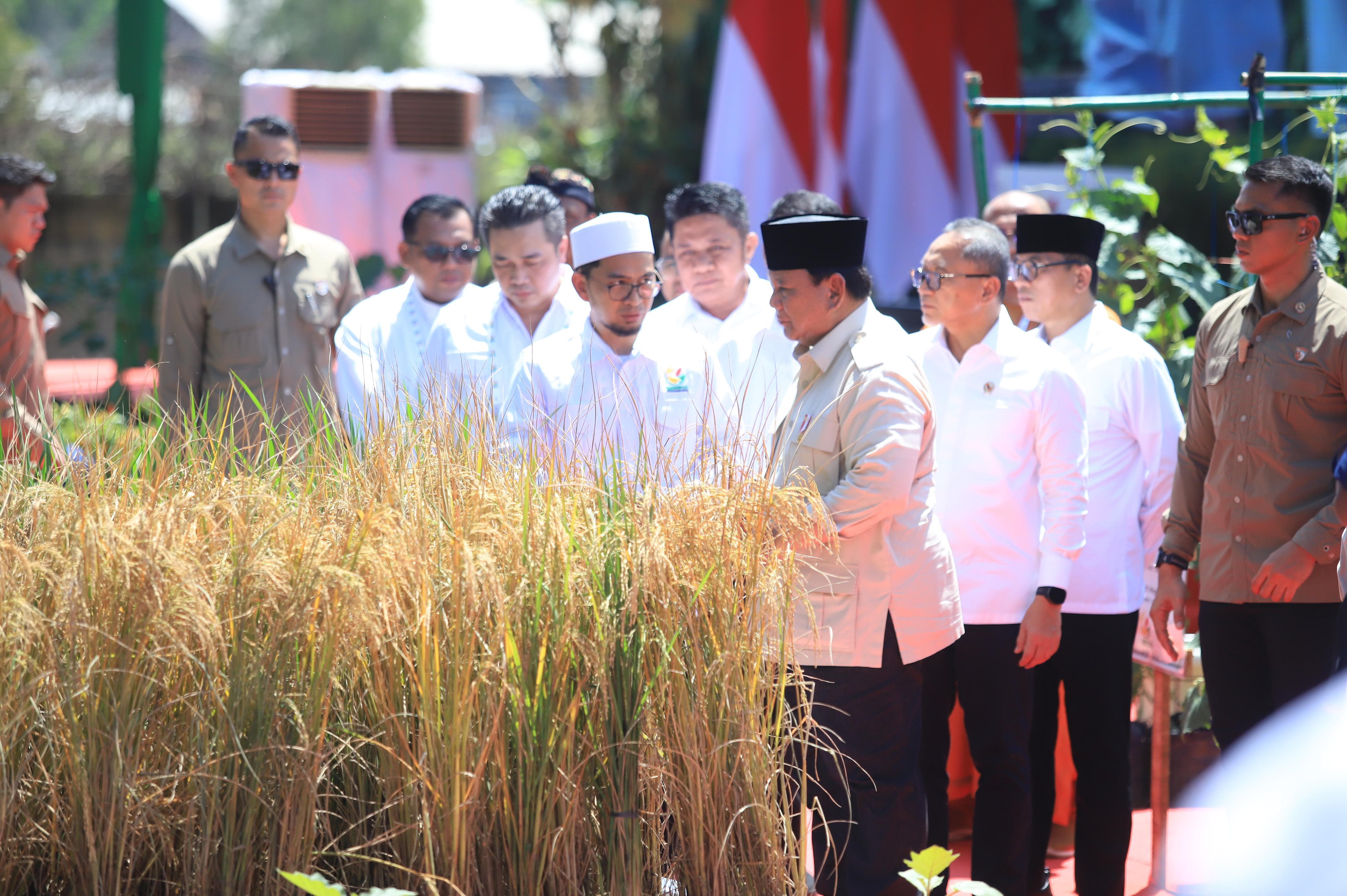 Presiden Prabowo Resmikan Program GERINA, TanAM Padi Serentak 14 Provinsi di Indonesia