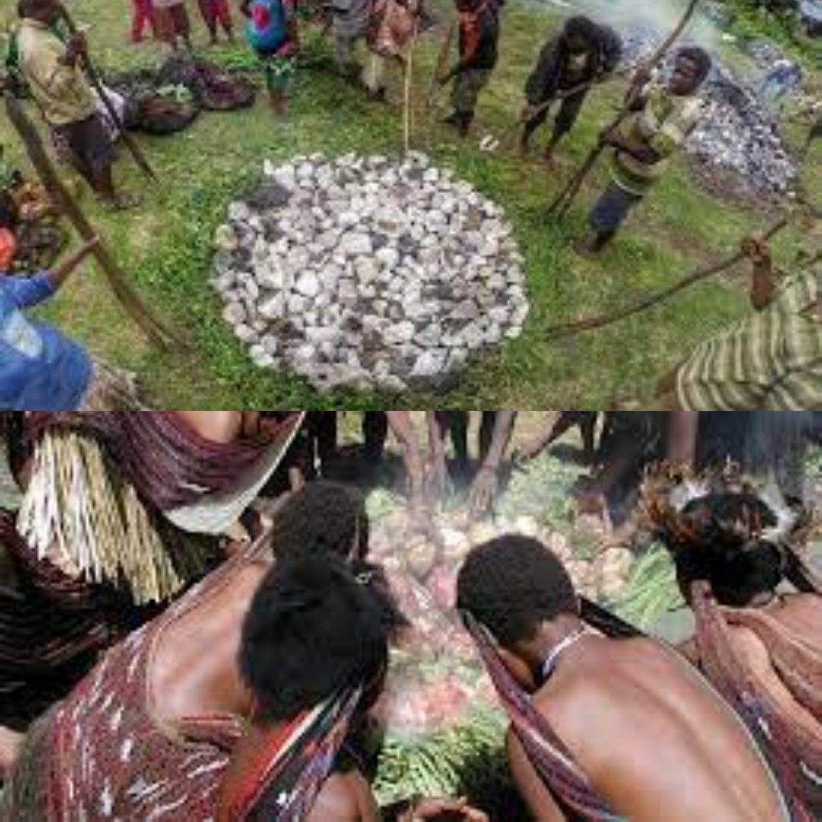 Mengulik Keunikan Tradisi Suku Papua Membakar Batu untuk Ritual Sebelum Memasak 