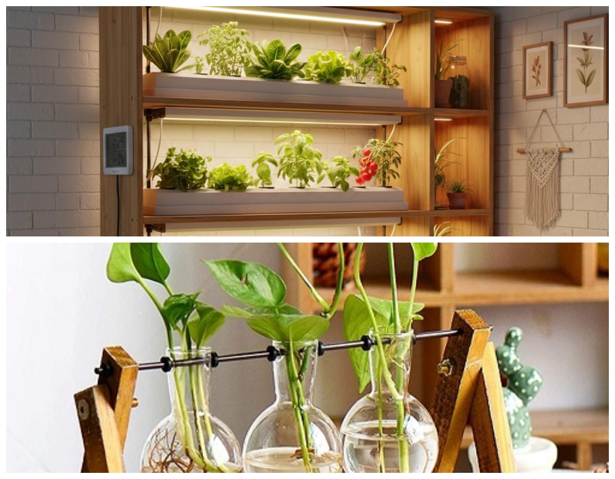 6 Tanaman Hias Hidroponik Indoor yang Mudah Dirawat: Solusi Hijau Hunian Minimalis 2026