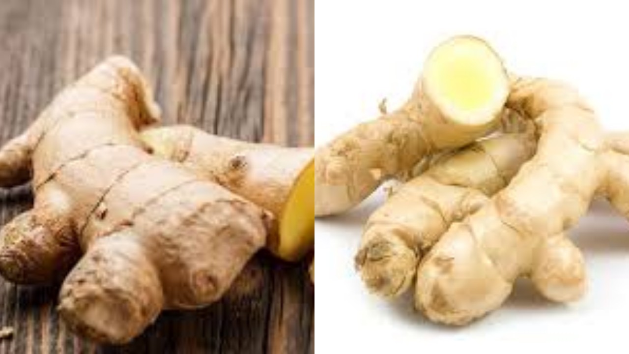 5 Khasiat Kunyit Putih bagi Kesehatan