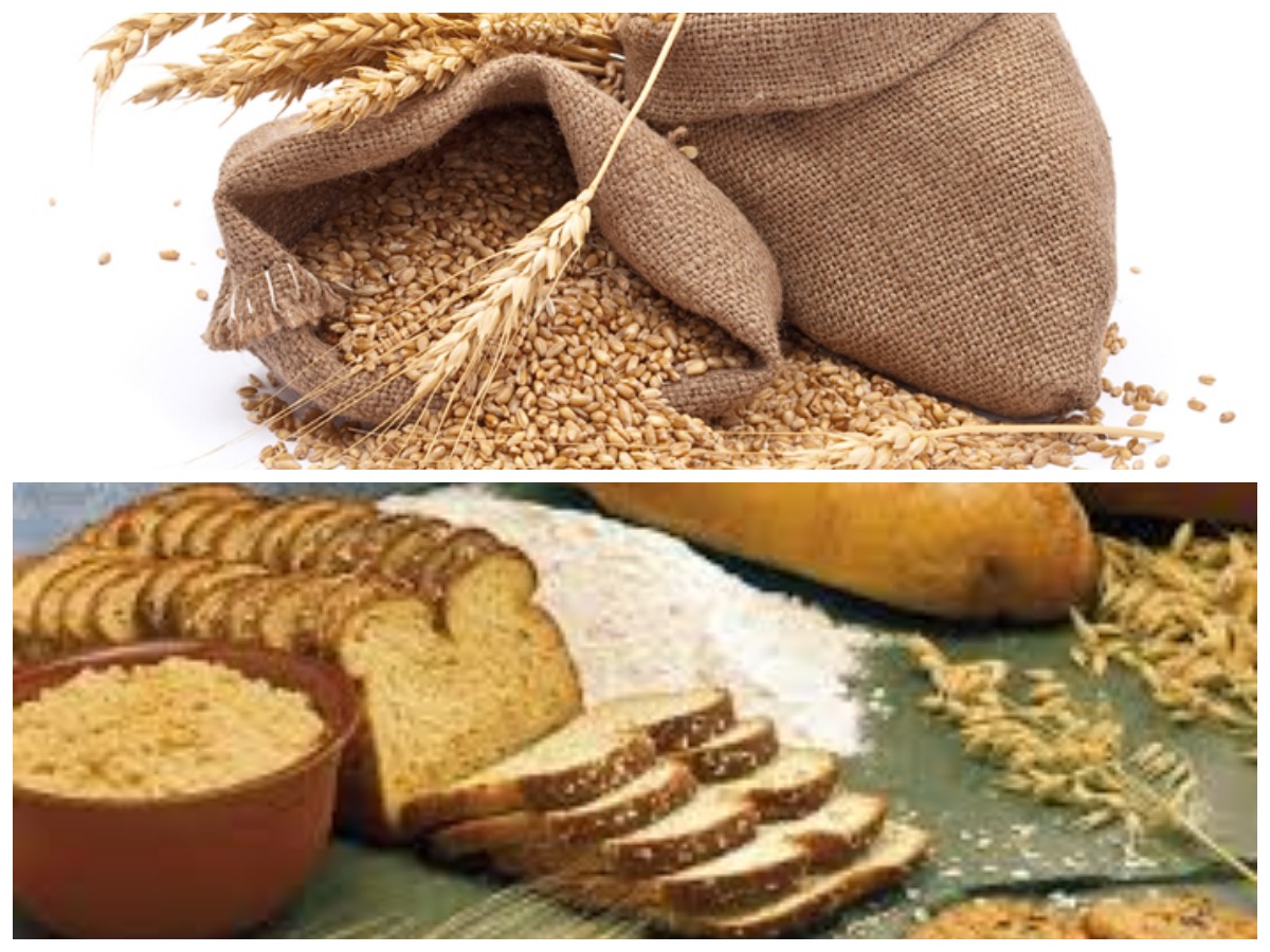 Manfaat Gandum Utuh untuk Diet Sehat: Sumber Serat yang Baik dan Pilihan Nutrisi Tepat
