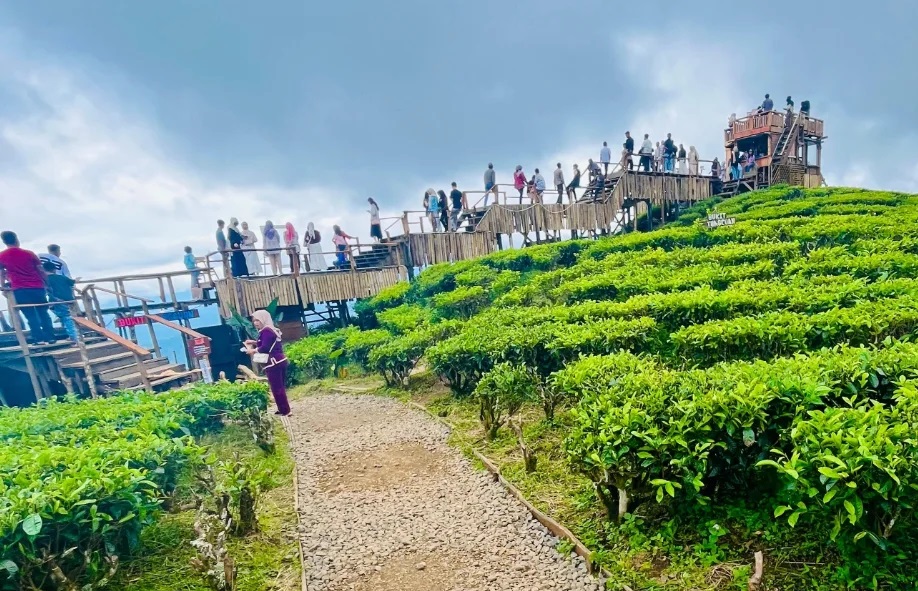 Kunjungan Wisatawan Meningkat Dongkrak Retribusi Wisata Pagar Alam