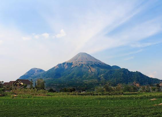 Kisah Mistis Pendaki di Gunung Penanggungan, Bikin Merinding Netizen