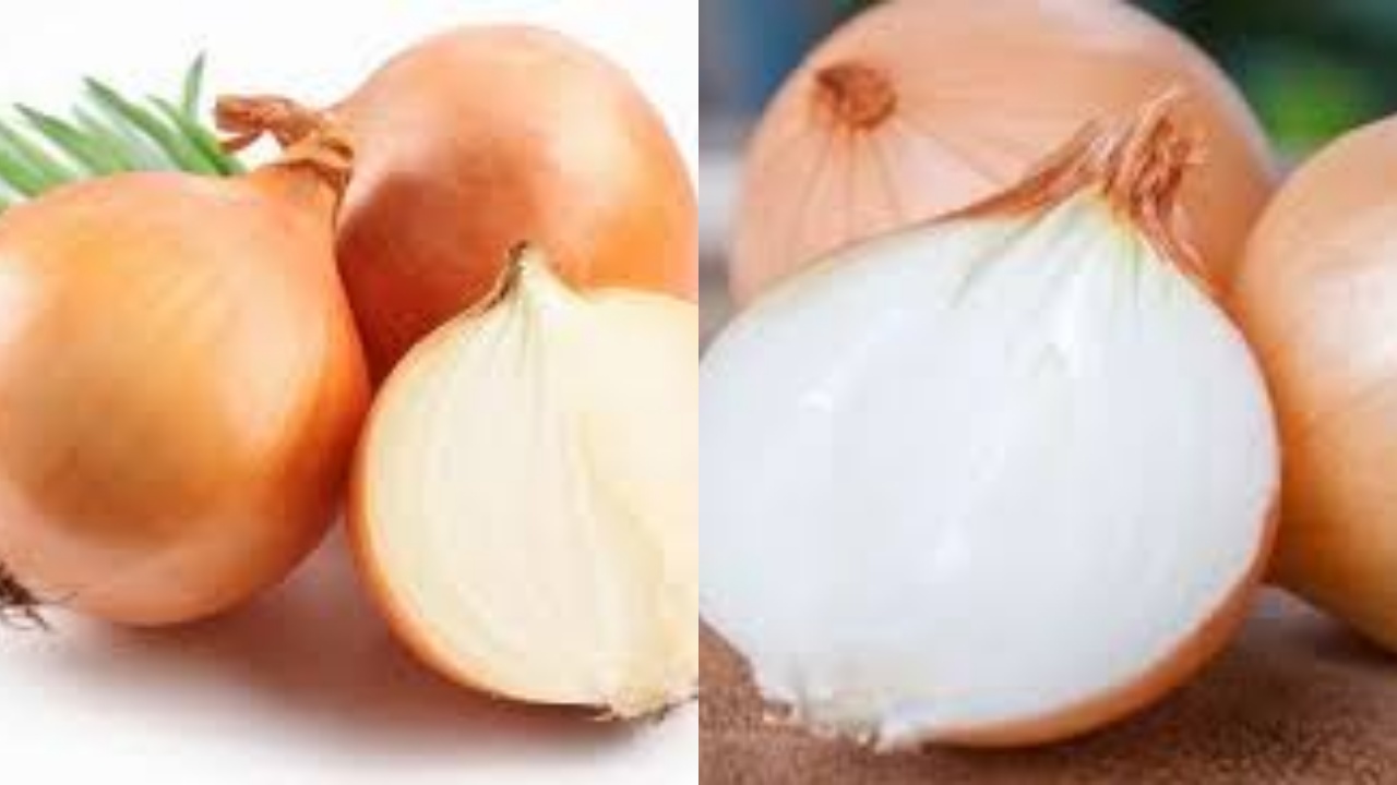 9 Manfaat Bawang Bombai Bagi Kesehatan Tubuh Yang Perlu Kalian Tahu!