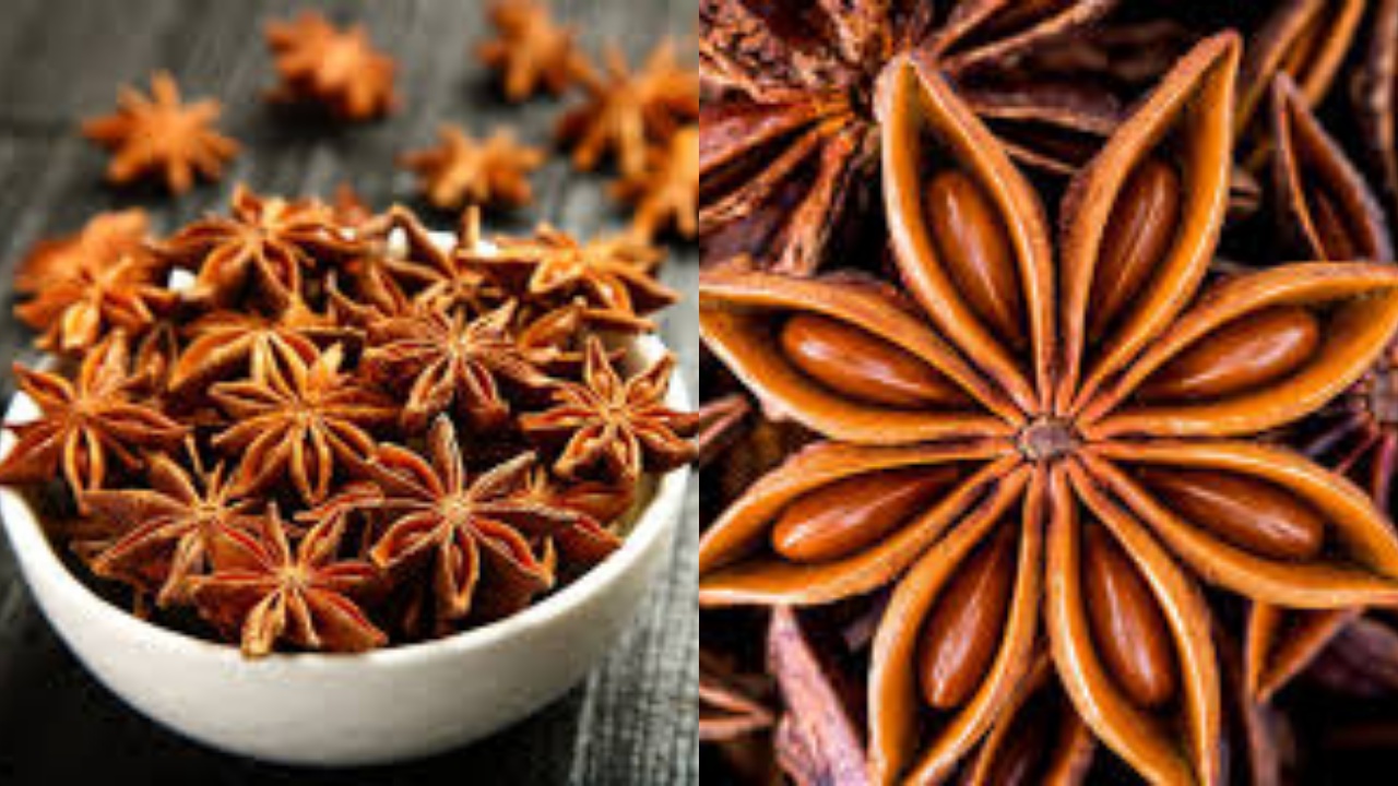 Efektif Meredahkan Batuk Dan Flu Teryata Ini Manfaat Kembang Lawang Yang Harus Kalian Tahu!