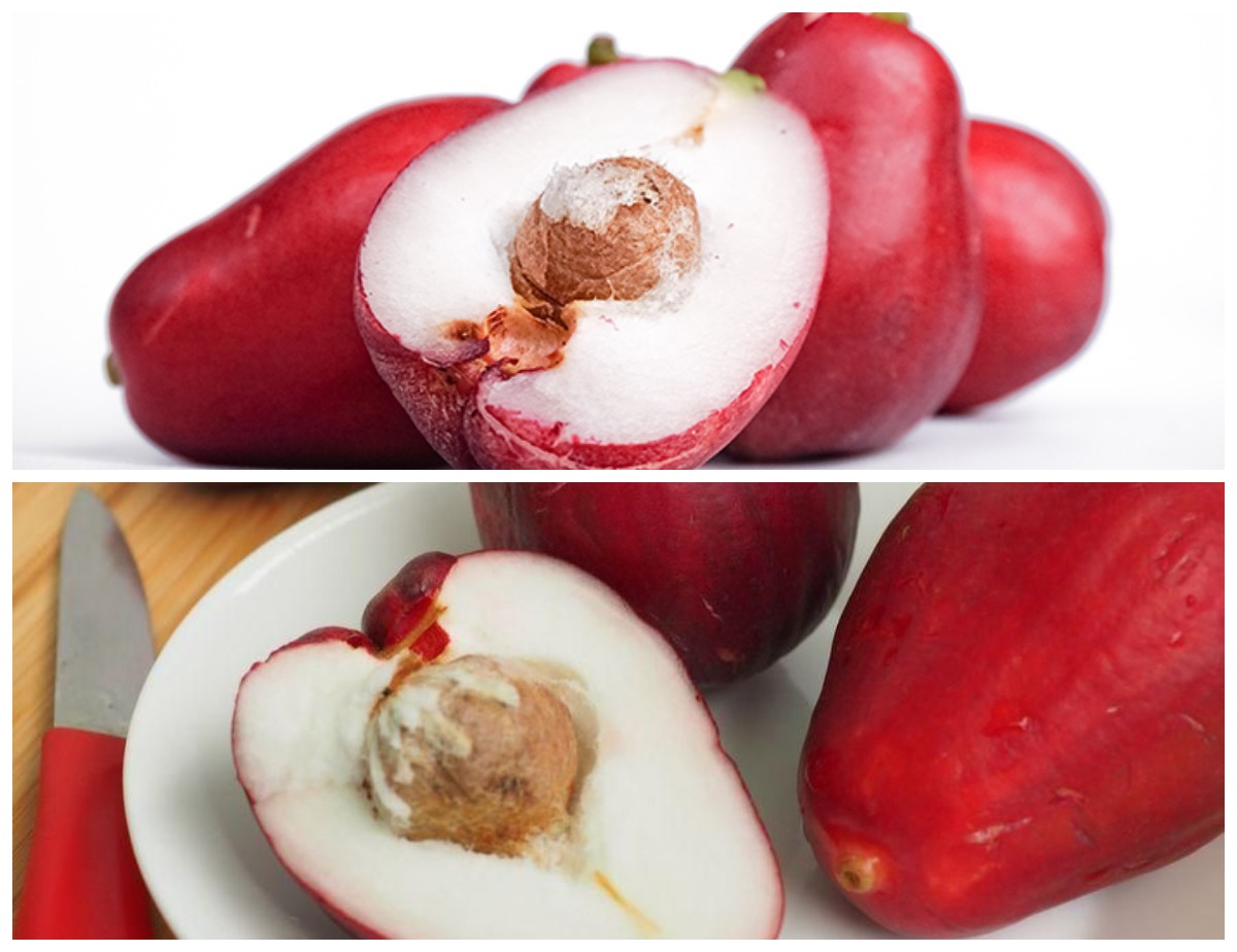 Manfaat Jambu Jamaika bagi Kesehatan Tubuh: Buah Tropis Kaya Nutrisi untuk Pencernaan, Jantung, hingga Kulit!