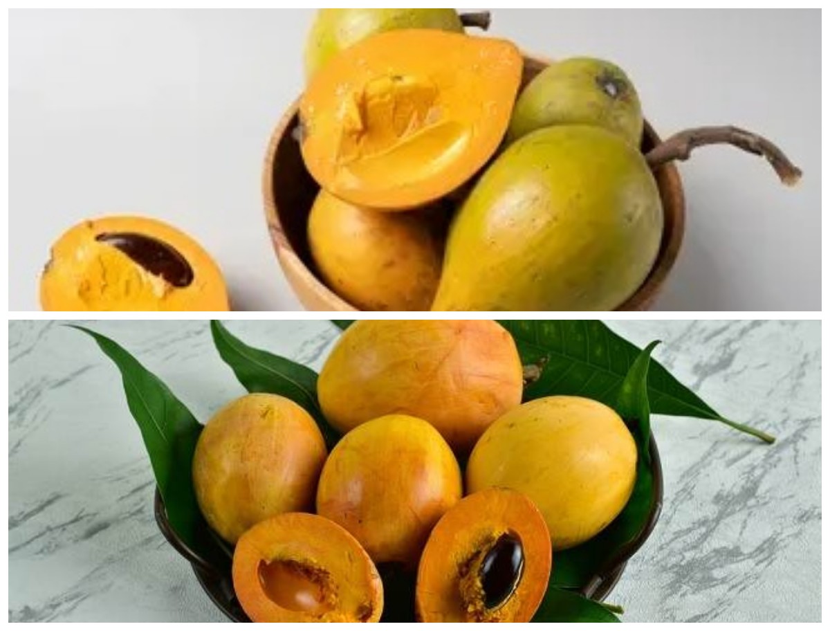 Manfaat Buah Campolay bagi Kesehatan Tubuh: Si Kecil Asam yang Kaya Gizi dan Khasiat Alami!