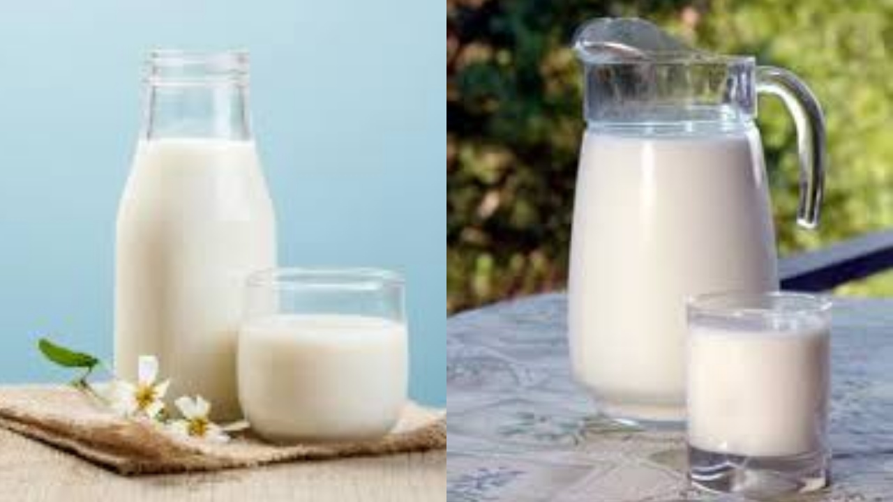 Inilah Manfaat Susu Murni Beserta Efek Sampingnya Yang Harus Kalian Ketahui!