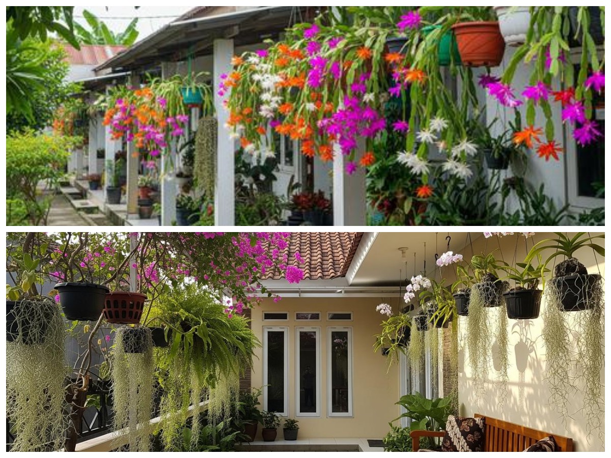 Teras Mungil Tetap Estetik! Ini 5 Tanaman Hias yang Bisa Digantung dan Tak Mudah Rimbun