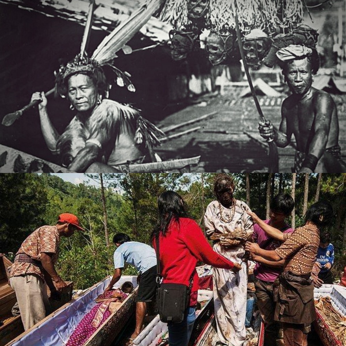 Mengungkap 5 Tradisi Menyeramkan dari Berbagai Suku di Indonesia 