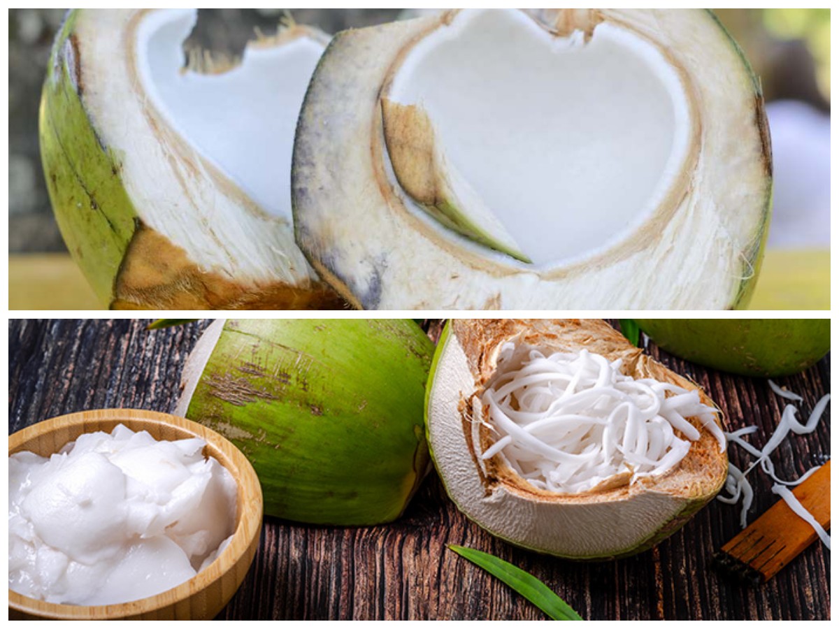 Satu Buah Banyak Khasiat: Ini Deretan Manfaat Kelapa untuk Kesehatan Tubuh Anda