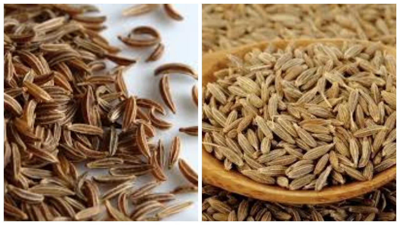 Jinten, Pahami 7 Manfaatnya untuk Kesehatan Tubuh