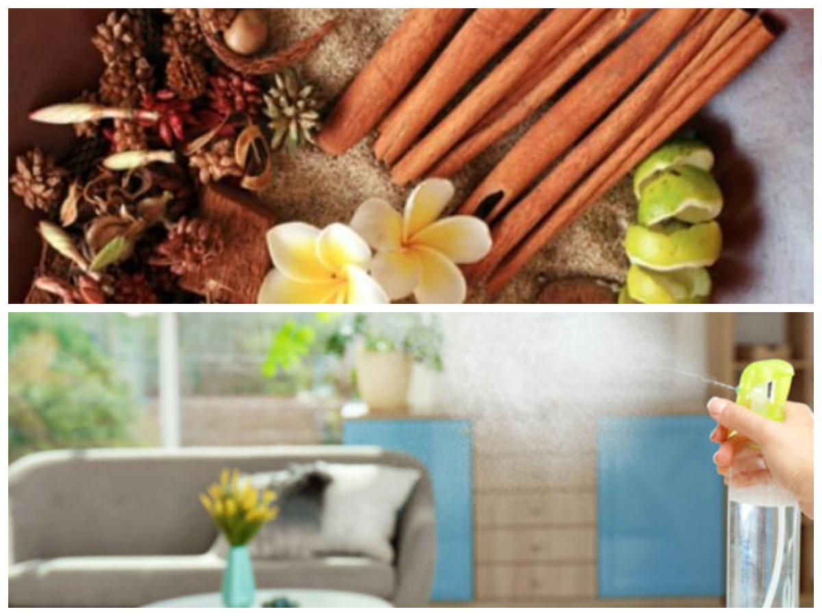 Rahasia Aroma Mewah di Ruang Tamu, Ternyata Bisa Didapat dari Bahan Dapur Sehari-hari!