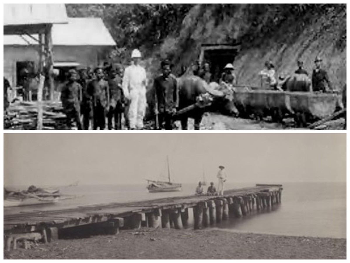 Fakta Tersembunyi Jalan Anyer–Panarukan, Dari Ambisi Kolonial Hingga Nestapa Bangs