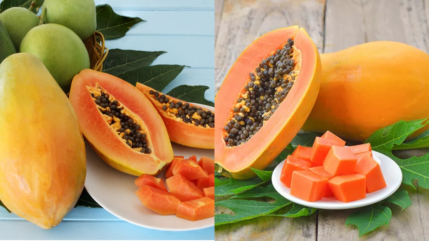 Inilah 10 Manfaat Pepaya Bagi Kesehatan Yang Harus Kalian Tahu! 