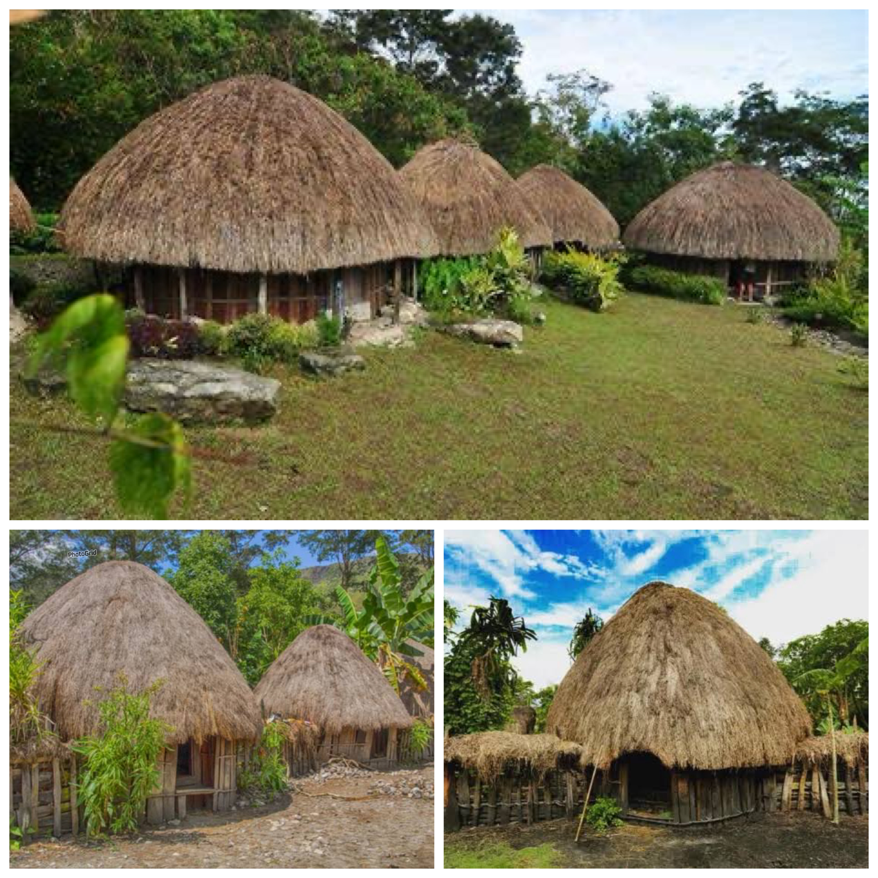 Sejarah Rumah Honai: Simbol Kehidupan, Identitas Budaya, dan Ketahanan Suku Dani di Papua!