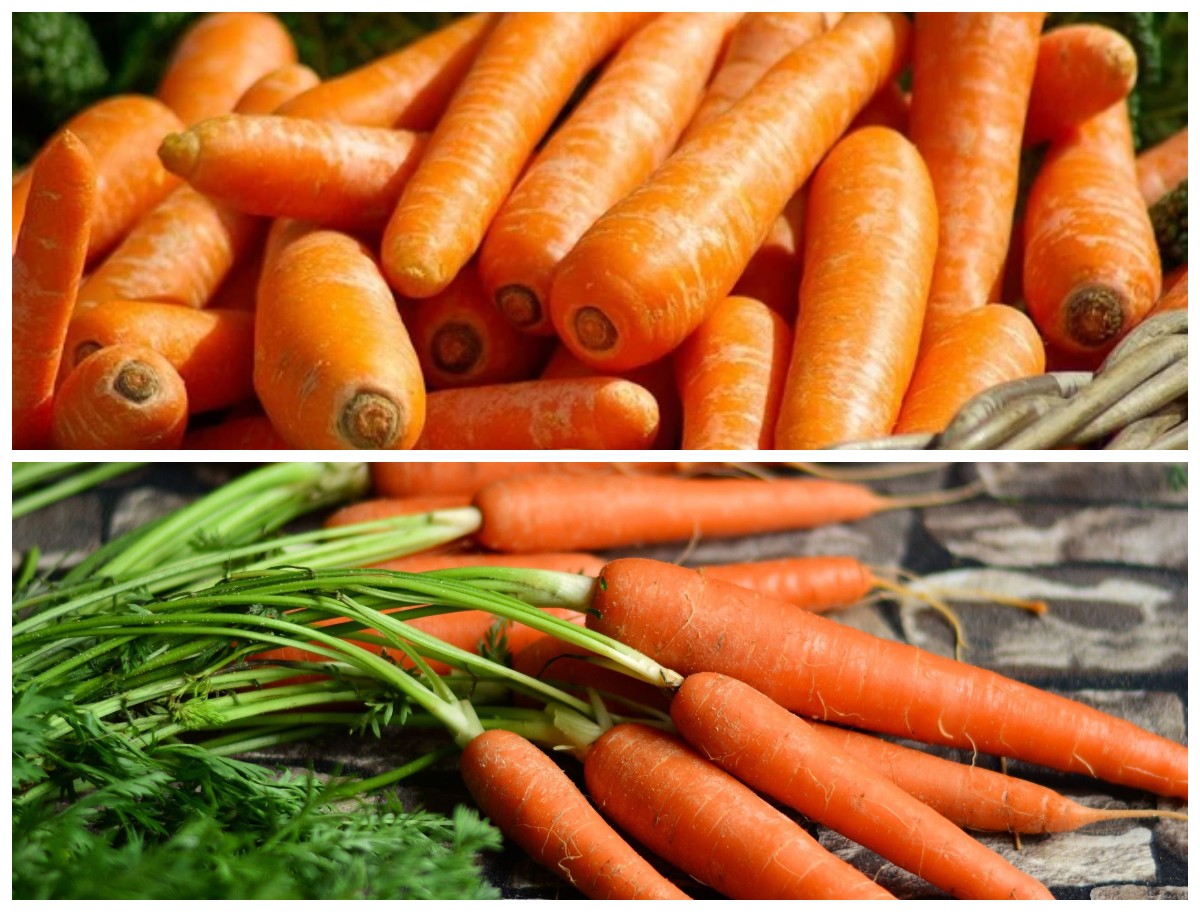 Manfaat Wortel bagi Kesehatan Tubuh, Sayuran Sederhana dengan Segudang Khasiat!