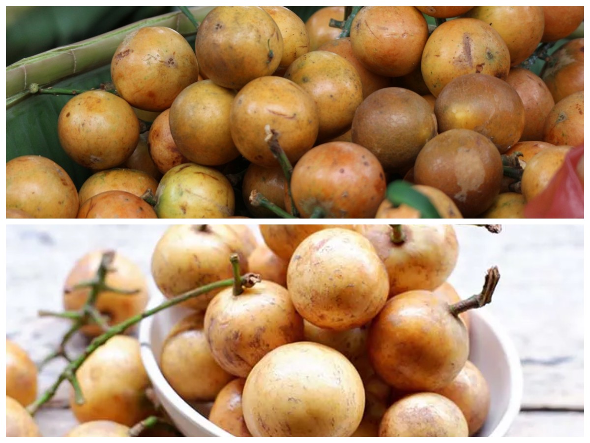 Khasiat Buah Menteng untuk Tubuh Sehat: Rasa Asam Manis yang Penuh Manfaat