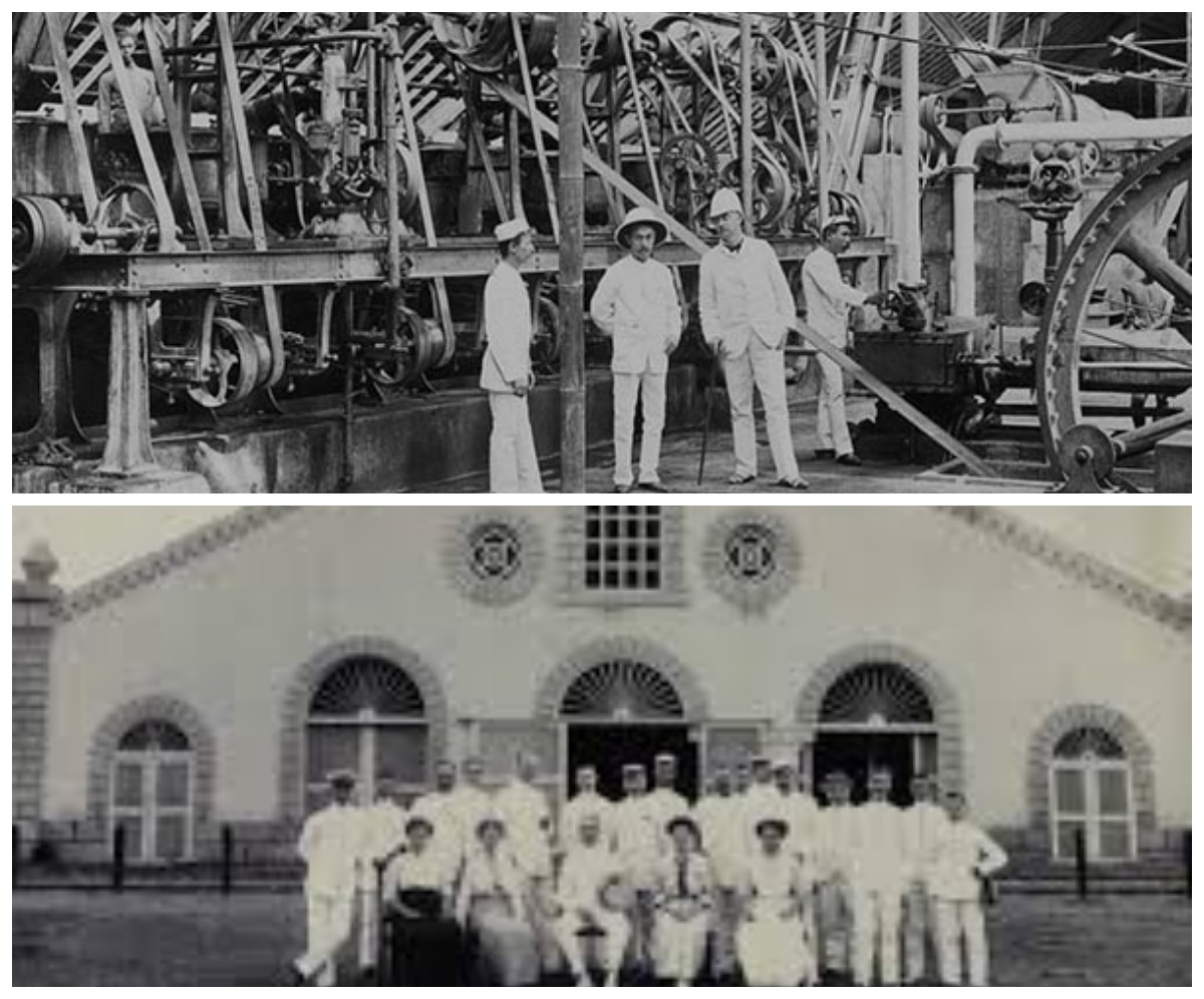 Dari Pucuk Tebu Tradisional ke Bioteknologi: Sejarah Panjang Pabrik Gula di Indonesia (1595–Hingga Kini)!