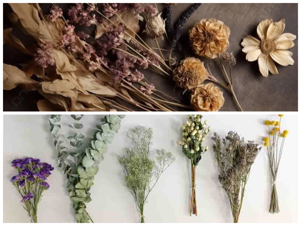 Percantik Meja Tamu dengan 5 DIY Bunga Kering Estetik, Cantik dan Tahan Lama!