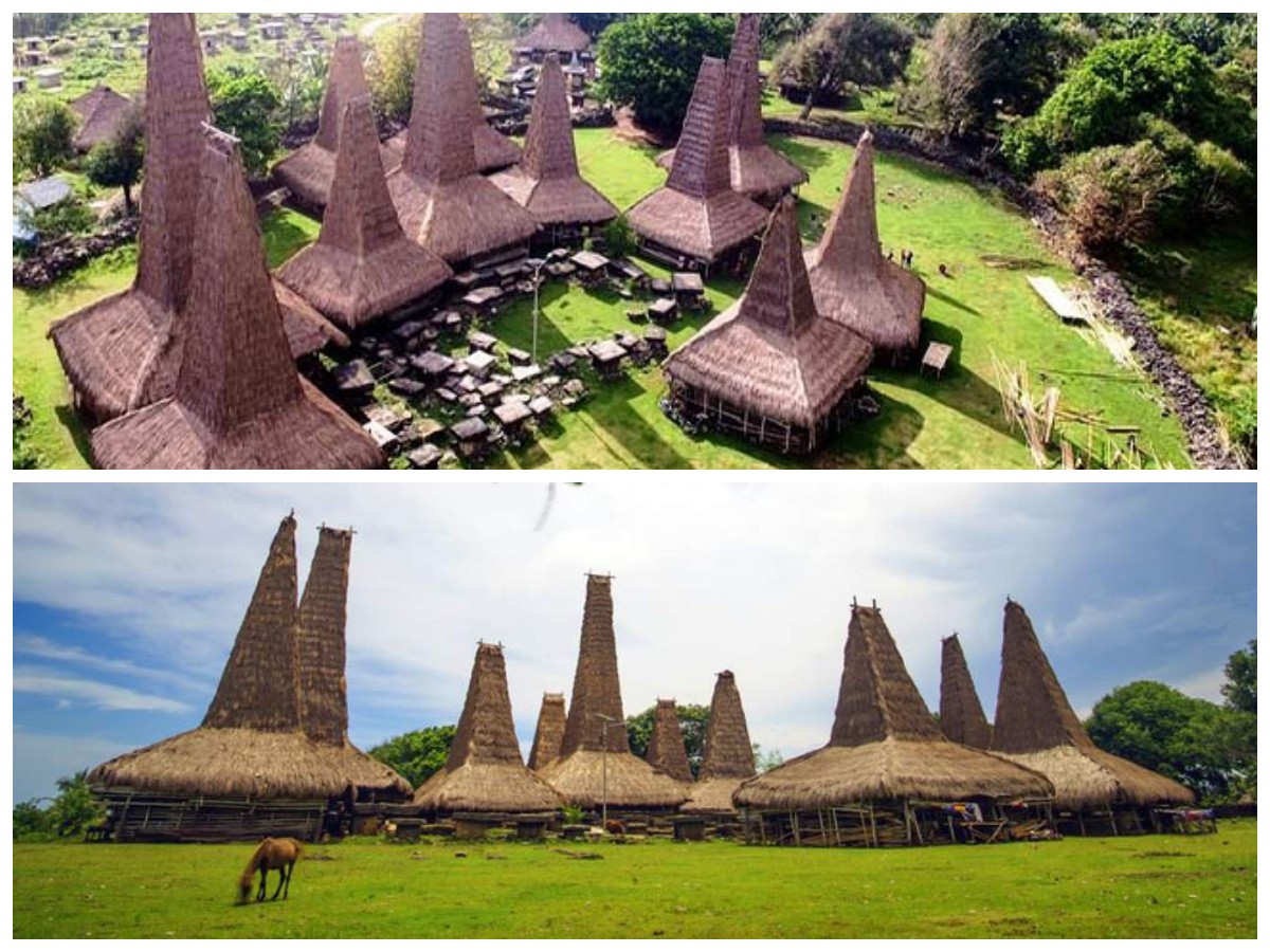 Menjelajah Ratenggaro: Desa Adat dengan Rumah Menjulang, Jejak Perang, dan Kuda Legendaris Sandalwood