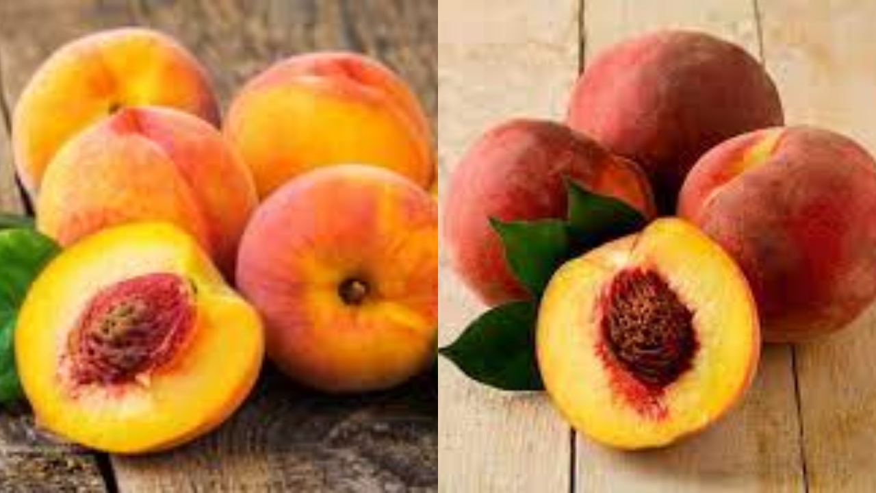Mengandung Nutrisi Penting Inilah Manfaat Buah Peach Untuk Kesehatan!