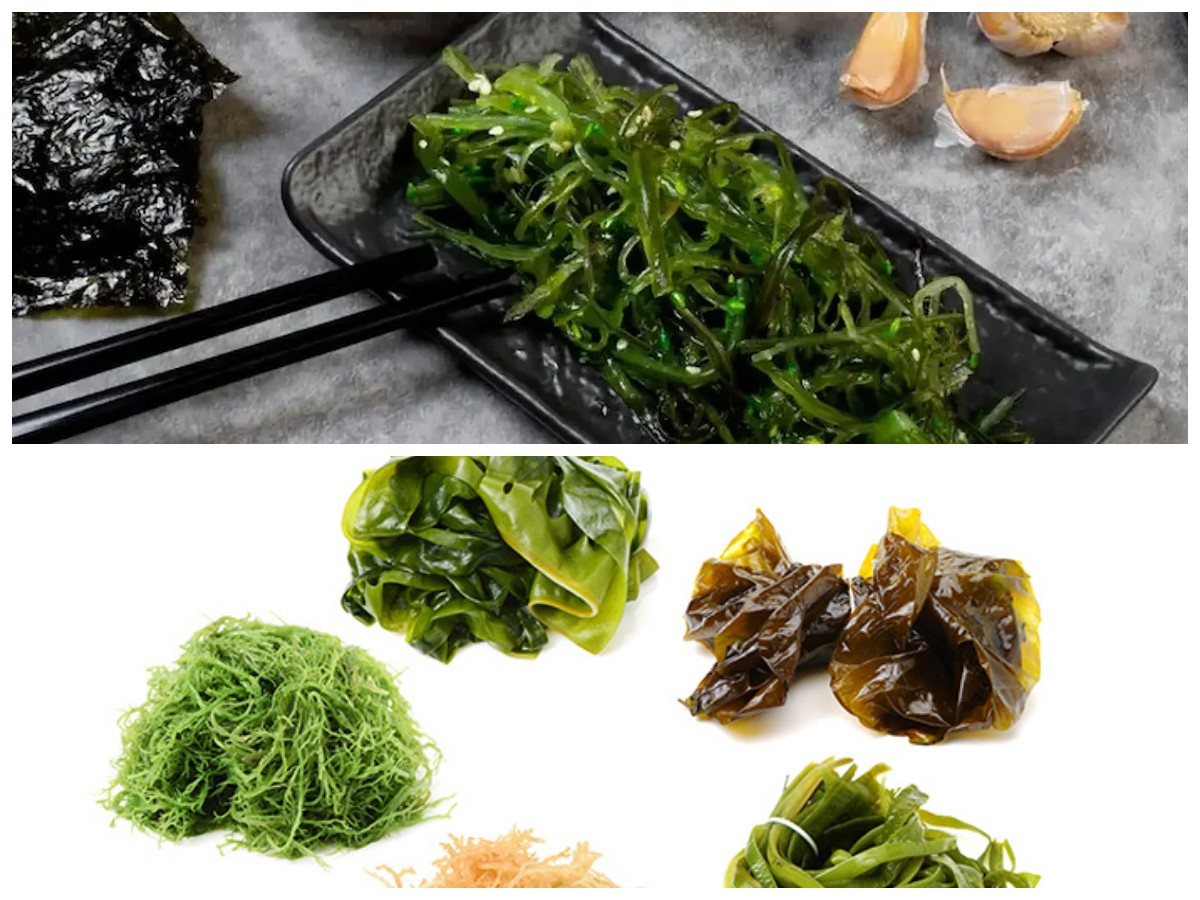 Tak Hanya Lezat, Ini Manfaat Hebat Rumput Laut bagi Tubuh dan Kecantikan!