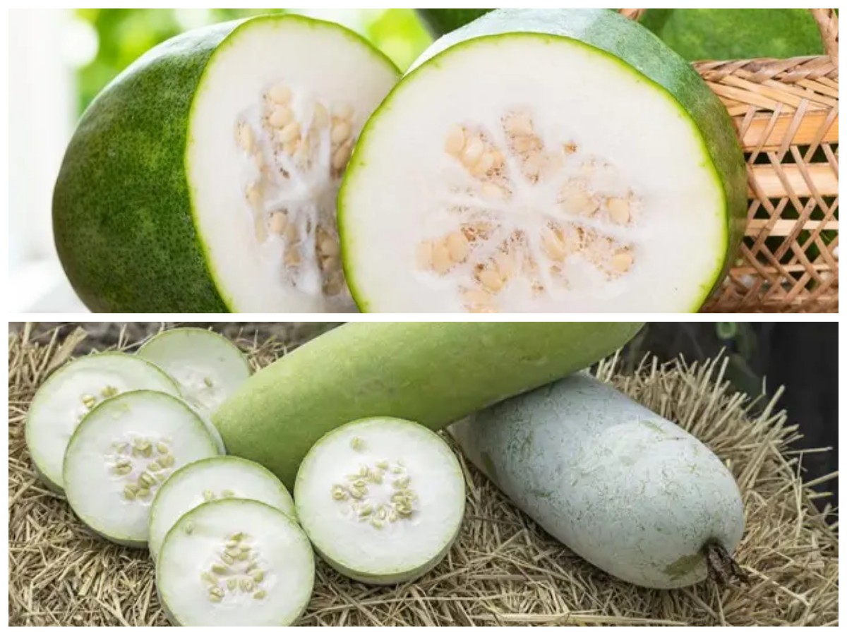 Buah Kundur dan Segudang Manfaatnya untuk Kesehatan Tubuh