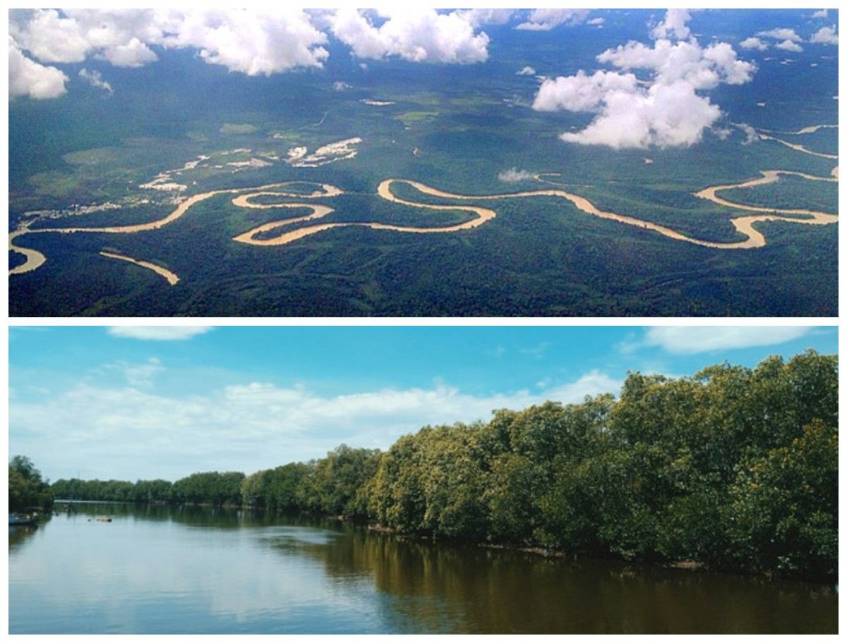 Sungai Kapuas: Jejak Sejarah, Peradaban, dan Kehidupan di Jantung Kalimantan Barat!
