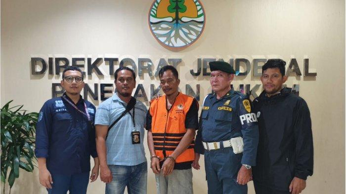 DPO Kasus Tambang Timah Ilegal di Bangka Belitung Ditangkap, Tersangka SA Berhasil Dibekuk di Palembang