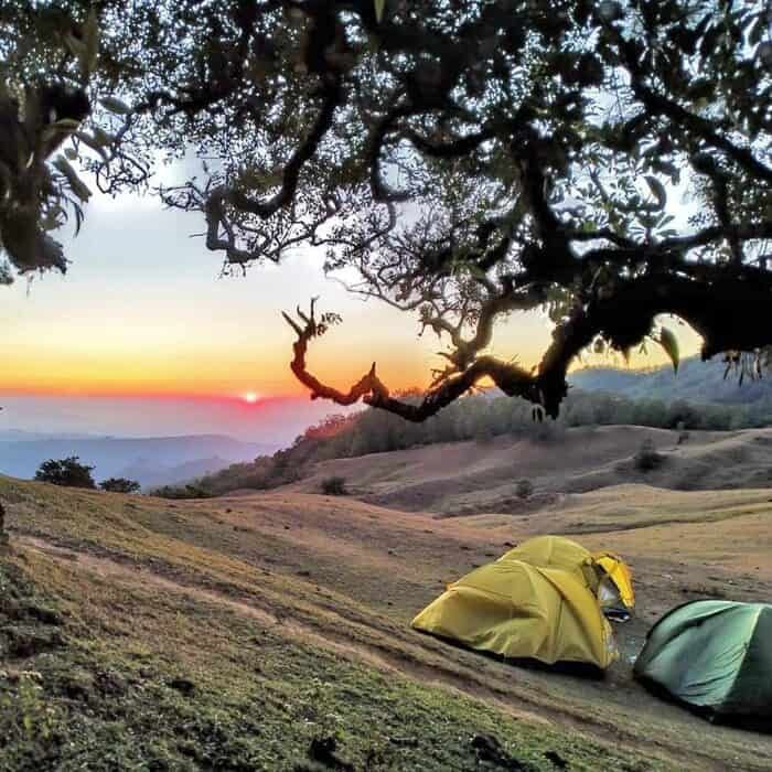 Indahnya Pesona Alam Gunung Mutis, Miliki Pemandangan Sunrise Yang Memukau Di Pulau Timor!