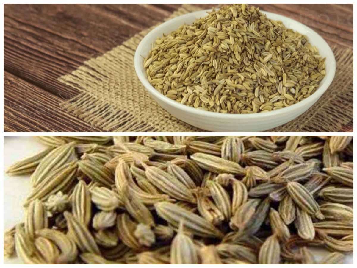 Bukan Rempah Biasa, Inilah Deretan Manfaat Hebat Biji Adas untuk Kesehatan Tubuh