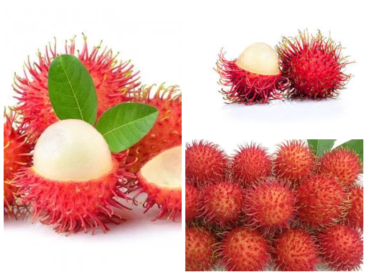 Manfaat Rambutan Bagi Kesehatan Tubuh!