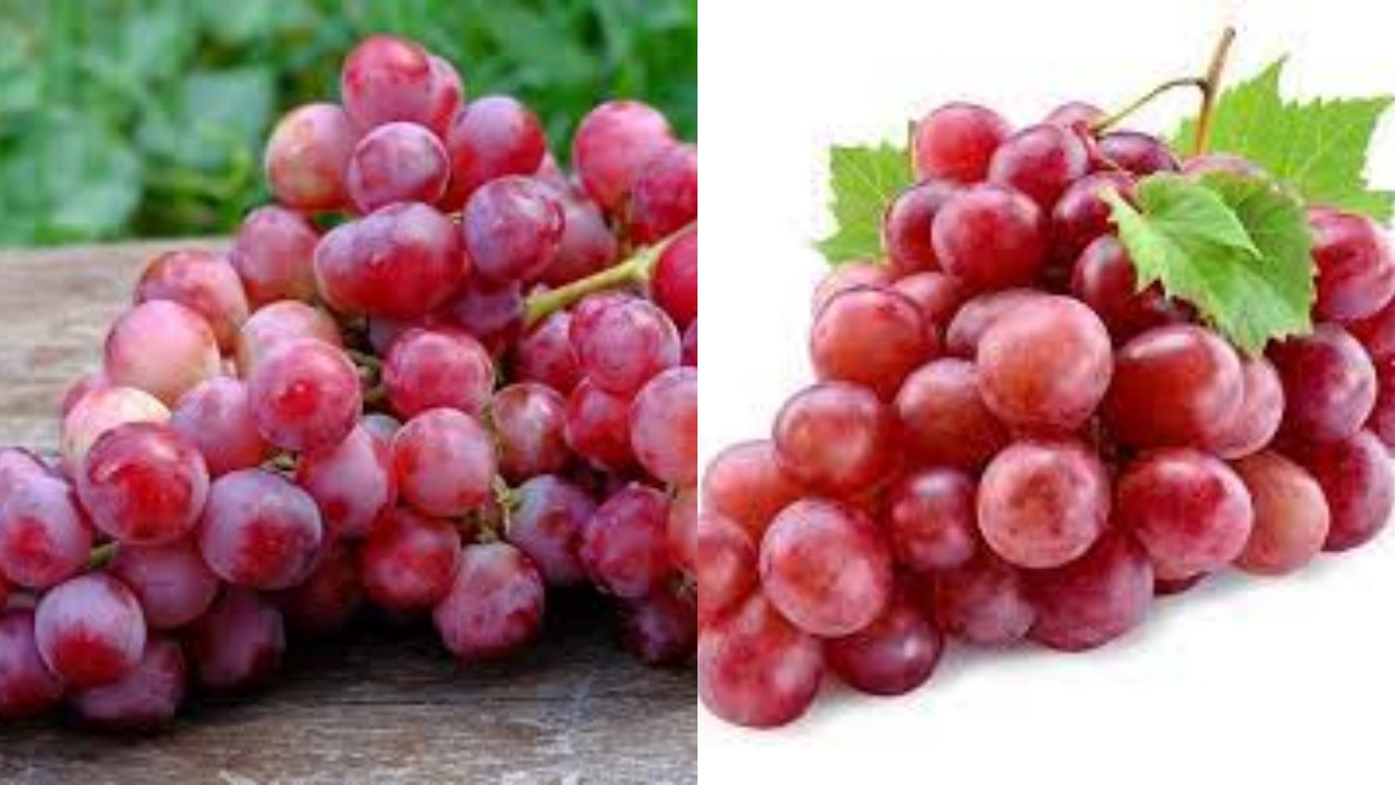 Jarang Diketahui Inilah Manfaat Anggur Merah Untuk Kesehatan Yang Luar Biasa!