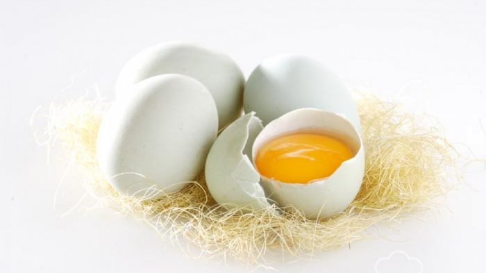 Inilah 5 Khasiat Tersembunyi Pada Telur Bebek yang Wajib Kamu Tahu