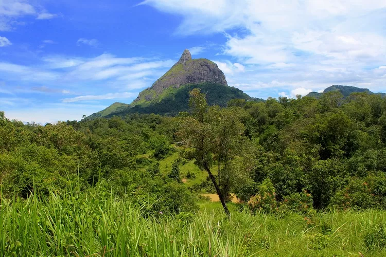 Ingin Petualangan Seru di Gunung Kaya? Ayo Siapkan Dirimu!