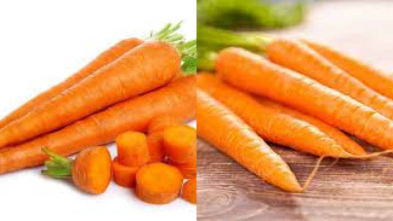  Wajib Tahu 8 Manfaat Wortel bagi Kesehatan yang Sayang Dilewatkan!