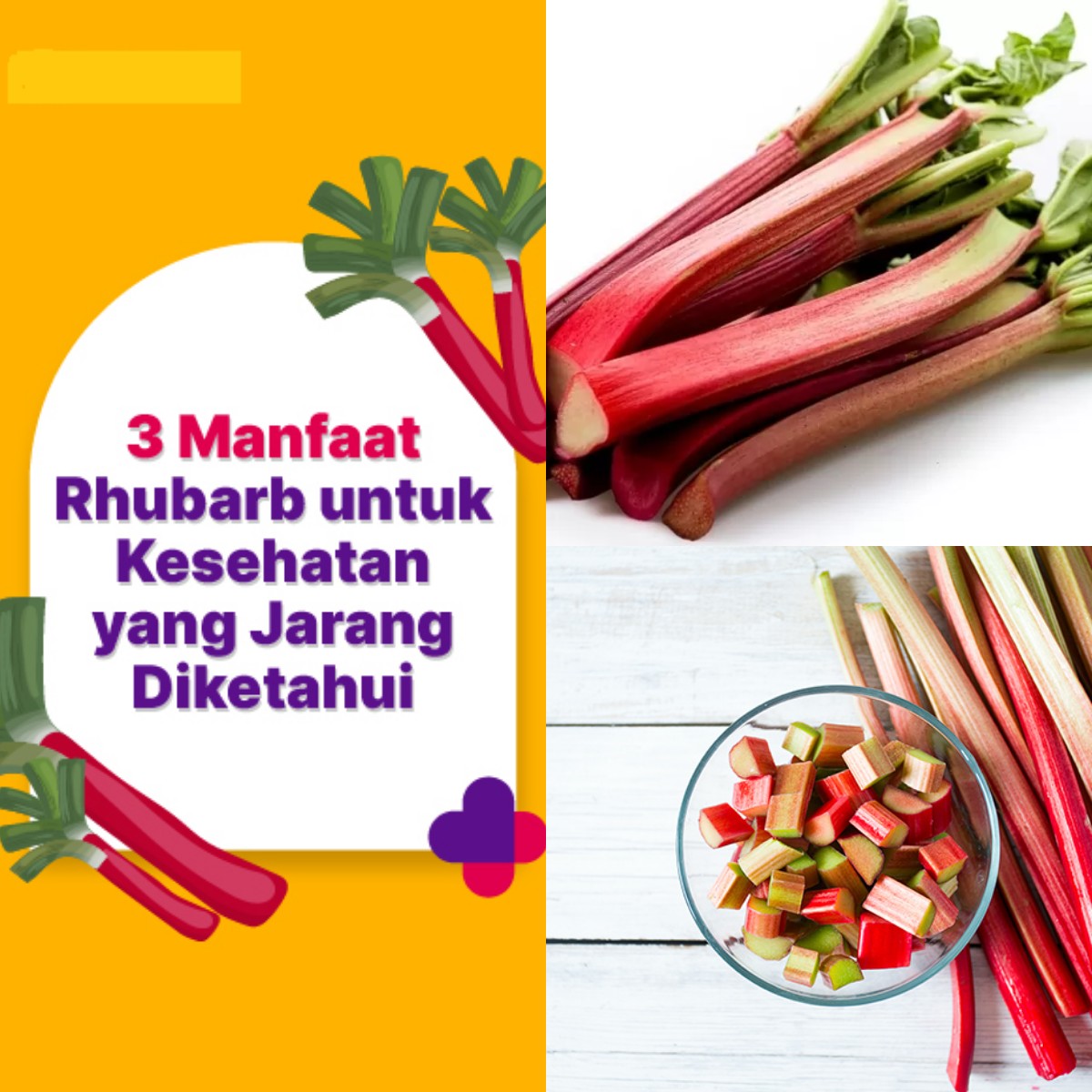 Rhubarb Bisa Membantu Kesehatan Tulang? Temukan 5 Manfaatnya di Sini!