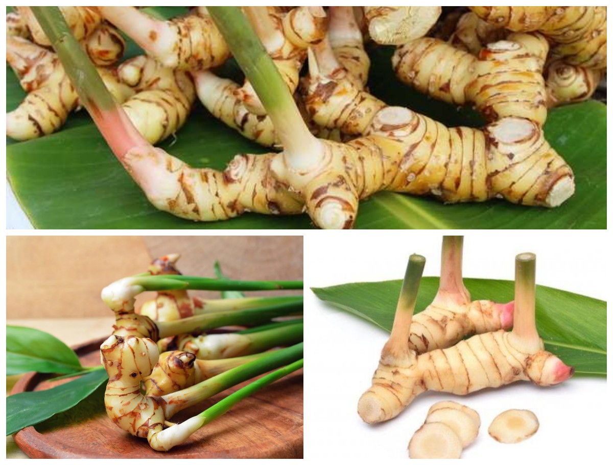 Inilah 5 Manfaat Lengkuas bagi Kesehatan, Rempah Tradisional dengan Khasiat Sehebat Obat Modern!