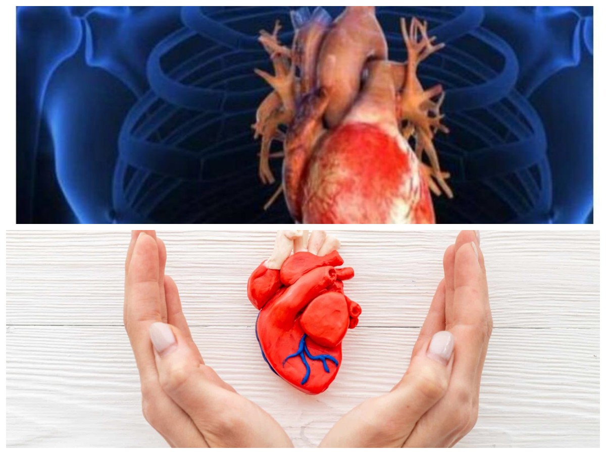 Langkah Sederhana Merawat Jantung: Panduan Hidup Sehat agar Terhindar dari Risiko Penyakit Jantung