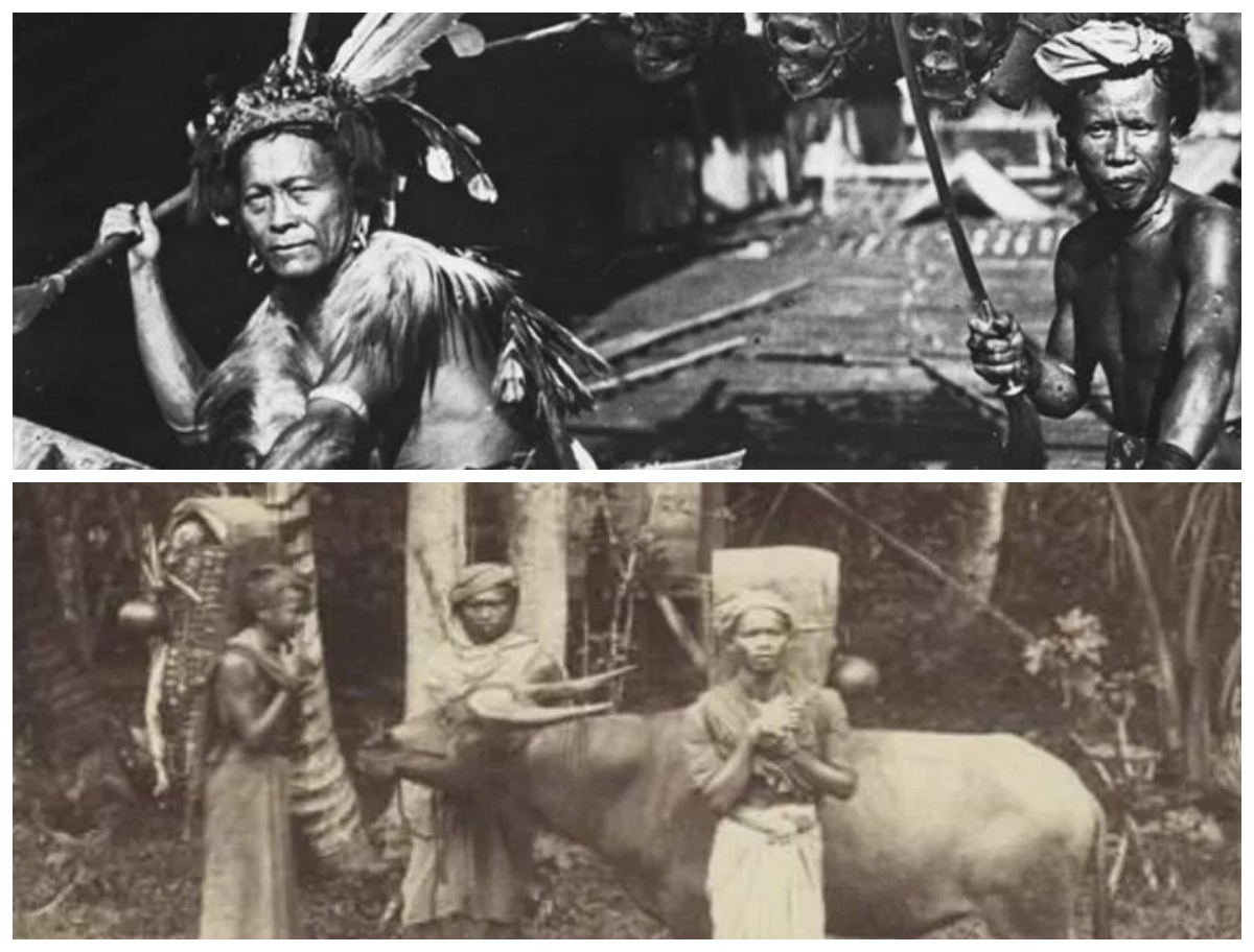 Mengenal Sejarah Suku Wajak: Jejak Awal Manusia Modern di Nusantara!