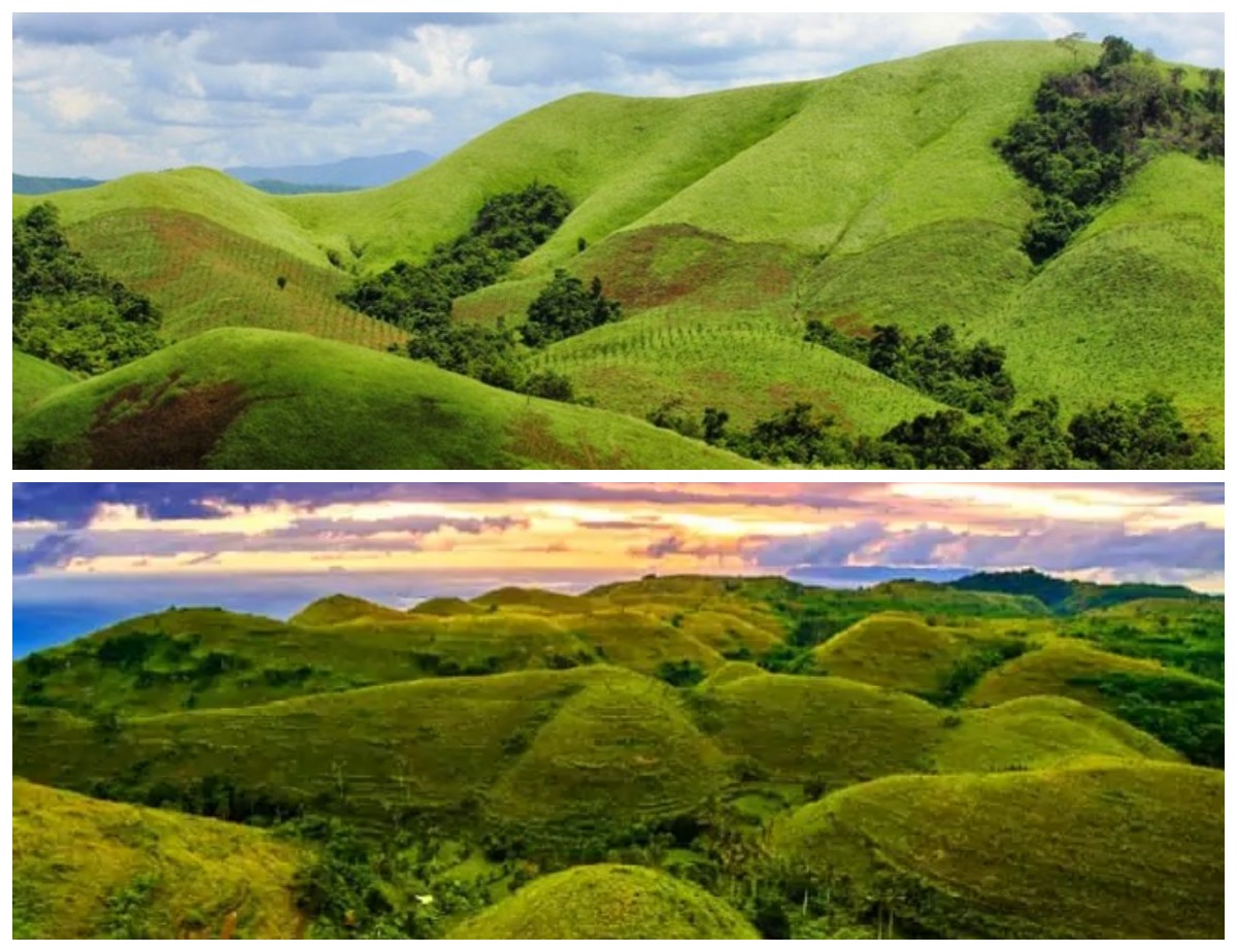 Menyelami Sejarah Bukit Teletubbies: Dari Lereng Sunyi Menjadi Destinasi Populer!