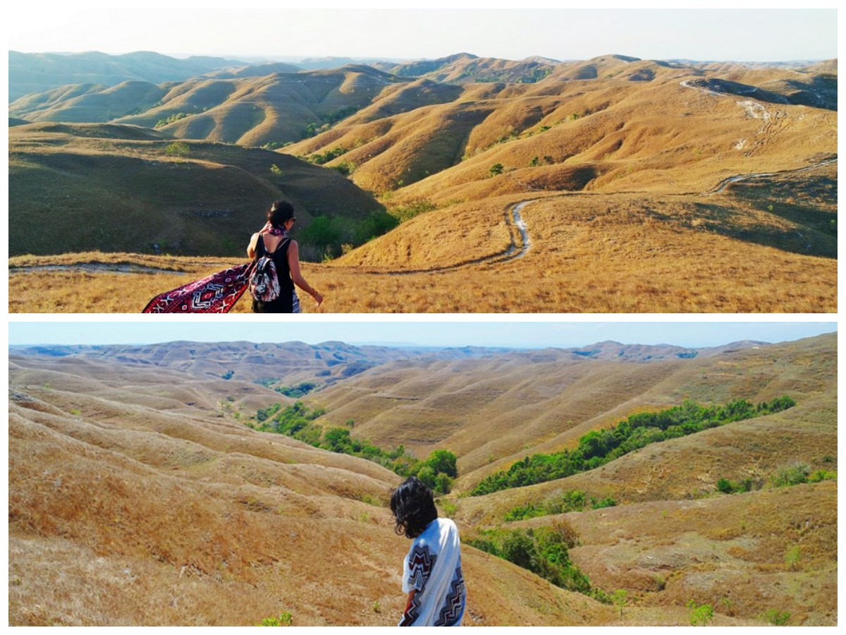 Bukit Wairinding: Keindahan Sabana Eksotis yang Menyatu dengan Budaya Sumba