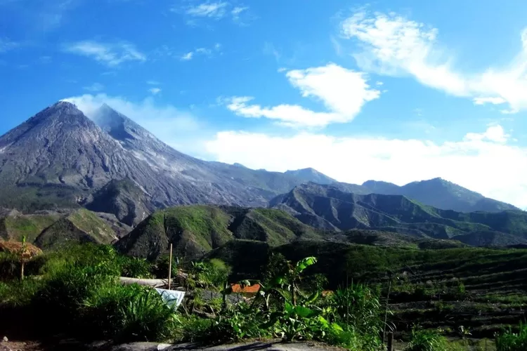 Jejak Alam Gunung Argopuro, Ternyata Gunung Ini Memilki Jalur Pendakian Terpanjang di Pulau Jawa? Cek Disini!