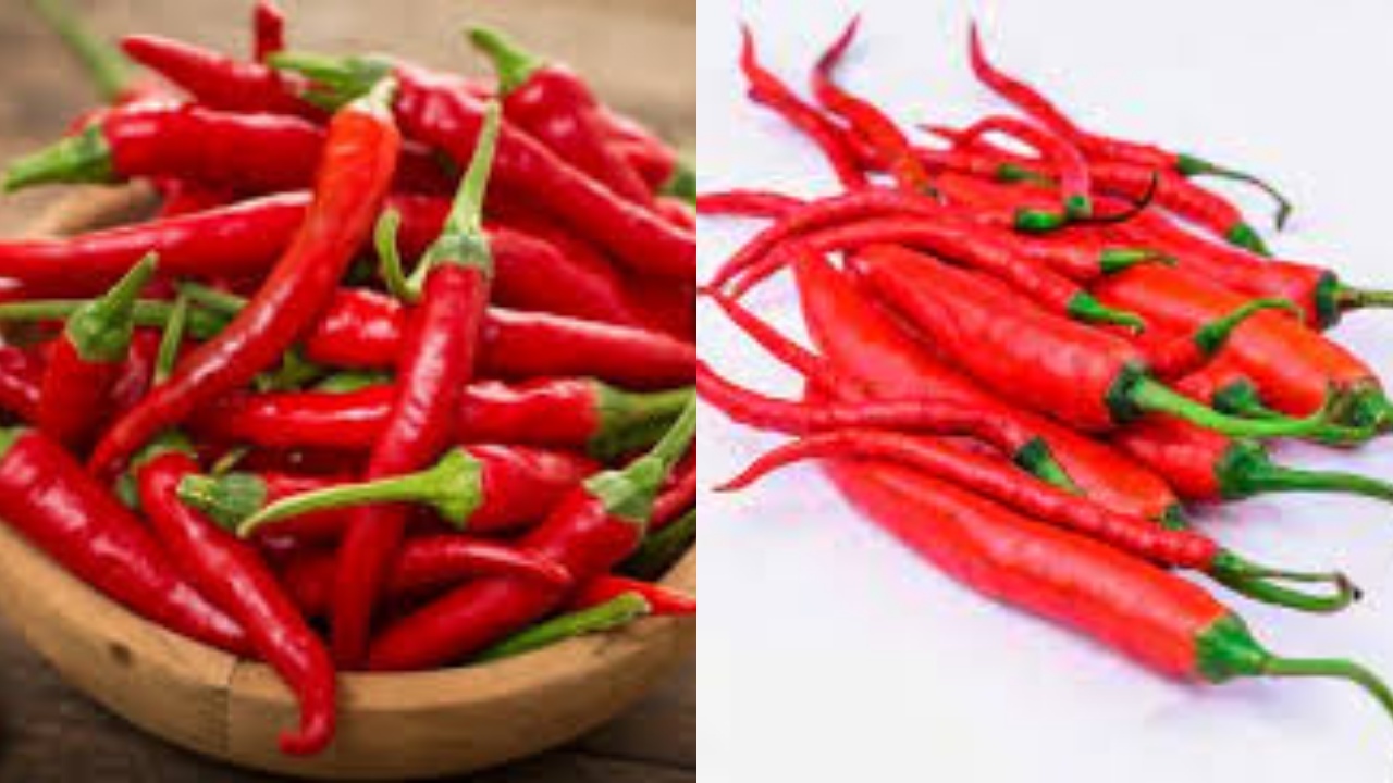 Tak Hanya Pedas, Ini 7 Manfaat Cabai Untuk Kesehatan Yang Jarang Diketahui!