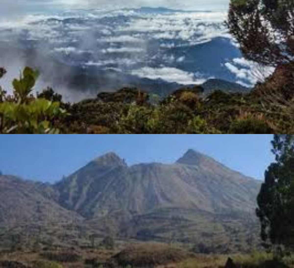 Gunung Bukit Raya: Keindahan Tersembunyi di Perbatasan Kalimantan, Surga Bagi Pecinta Alam dan Pendaki Petuala