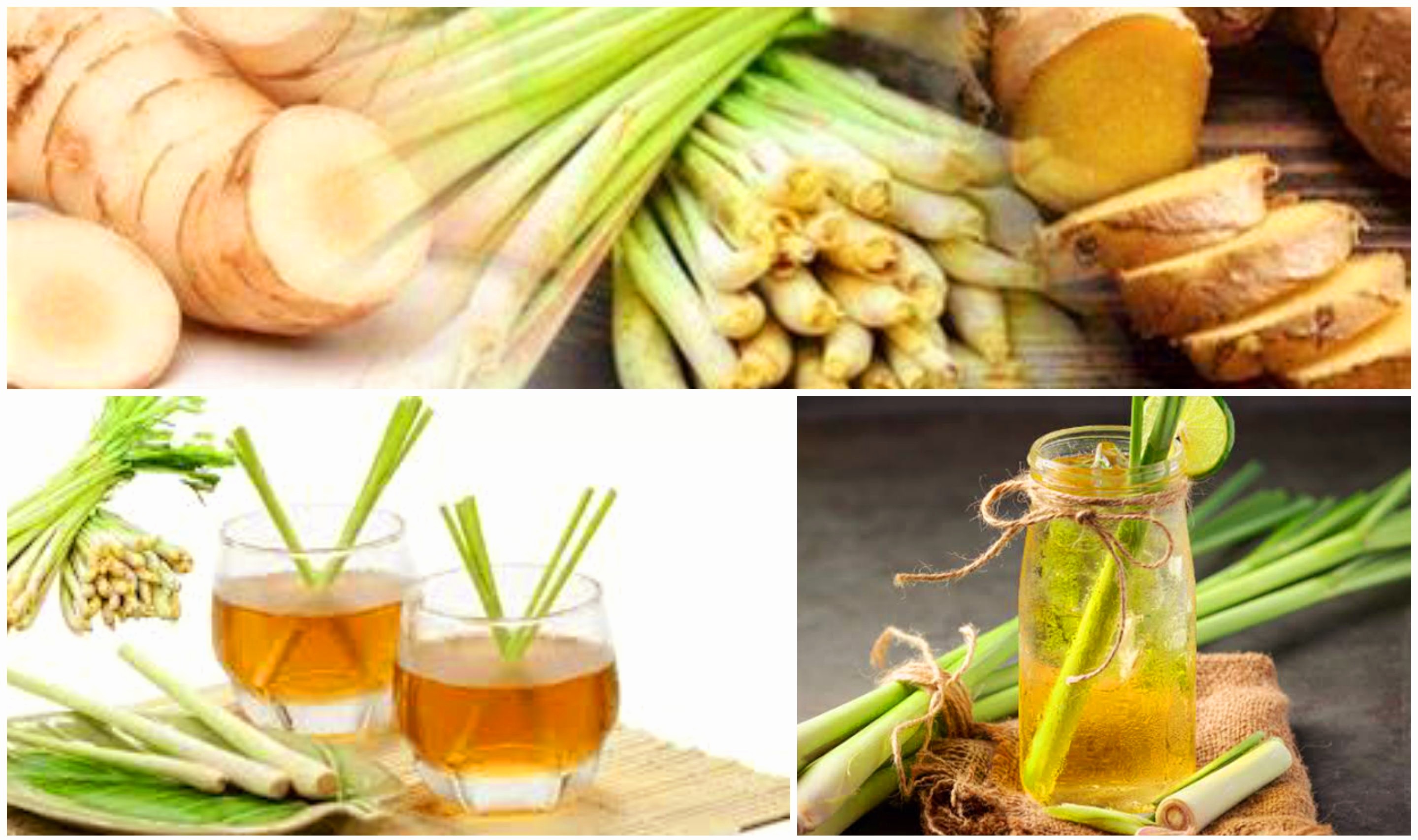 Minum Air Jahe dan Serai Sebelum Tidur Malam Bermanfaat untuk Kesehatan Tubuh