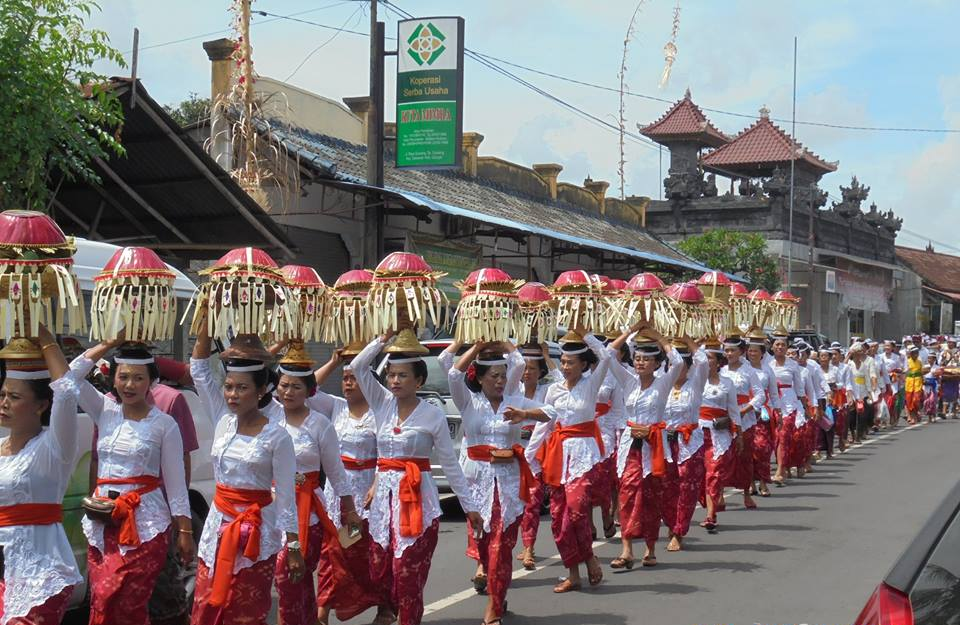 Ingin Tahu Rahasia Sukses Pertanian di Bali?! Jangan Lewatkan Ini!