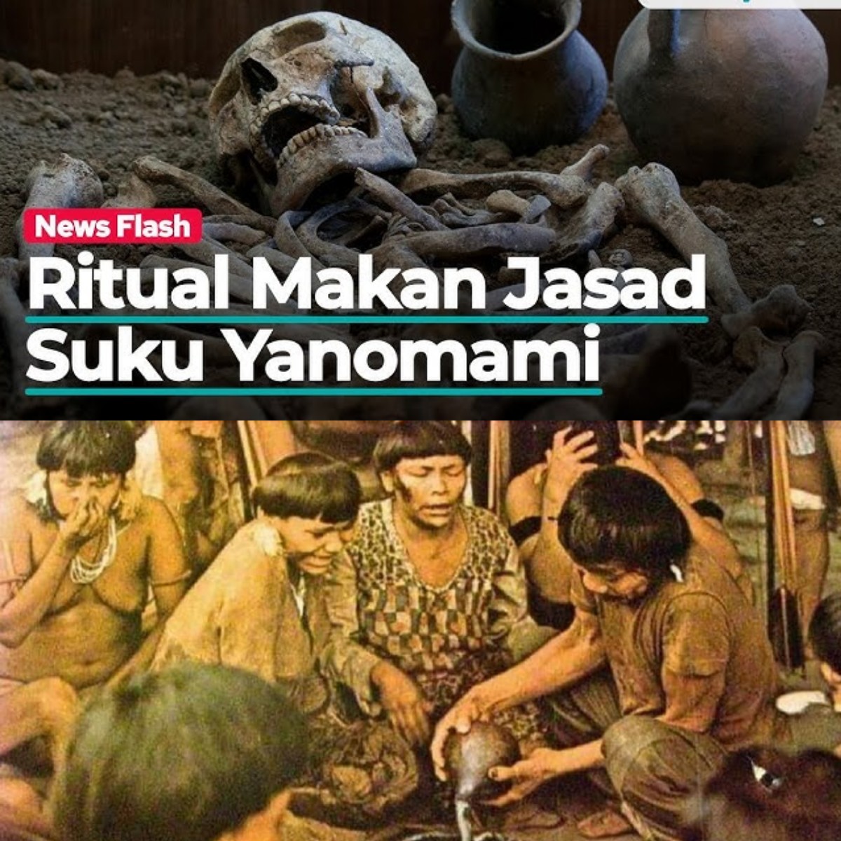 Bagaimana Ritual Makan Abu Orang Meninggal Membentuk Kehidupan Suku Yanomami? Yuk Cek Disini!