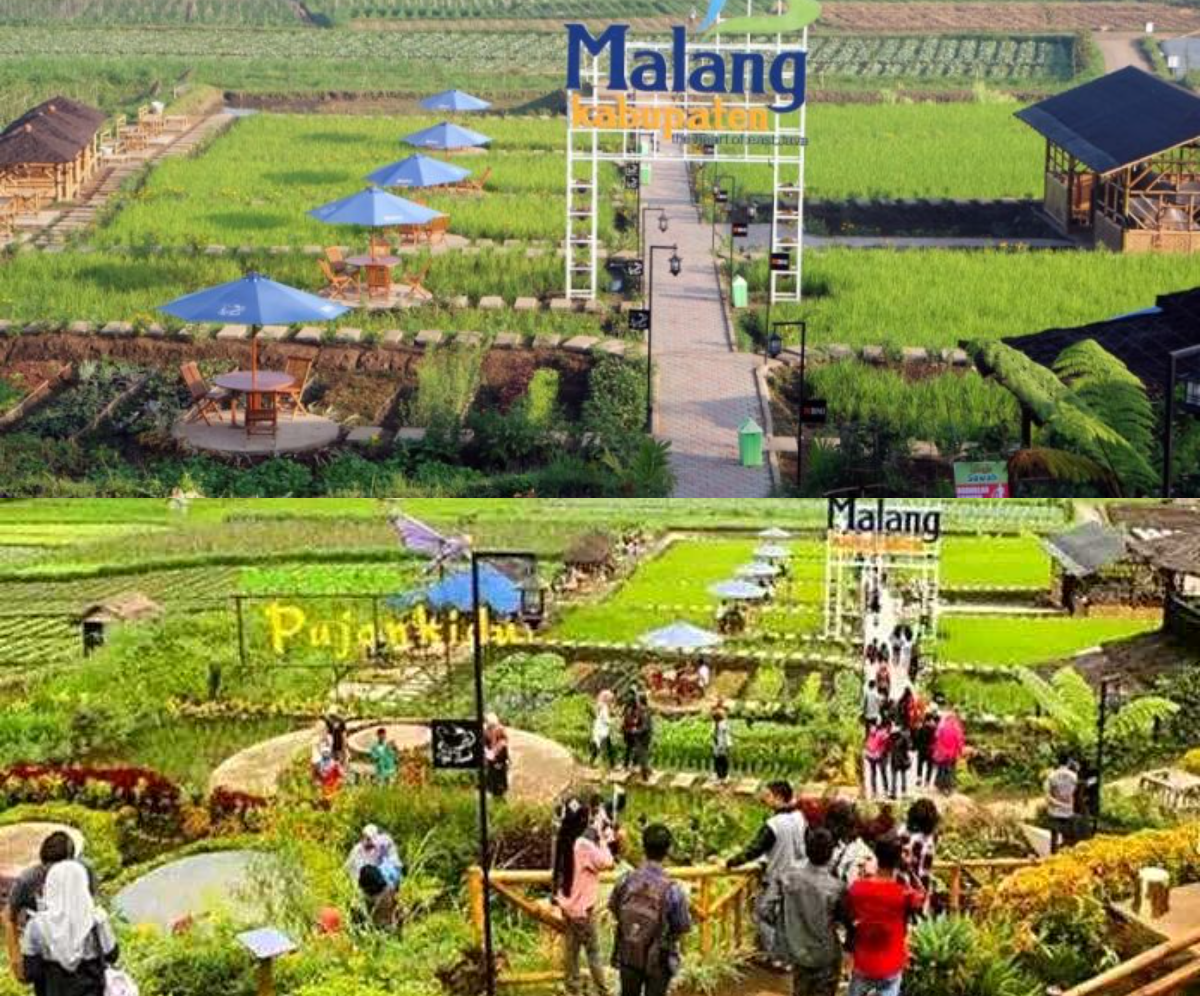 Dinobatkan Desa Briliant Nasional! Inilah Pesona Indah yang Disuguhkan Desa Wisata di Malang 